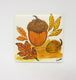 Acorn