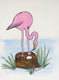 Flamingo on her Nest