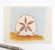 Sand Dollar