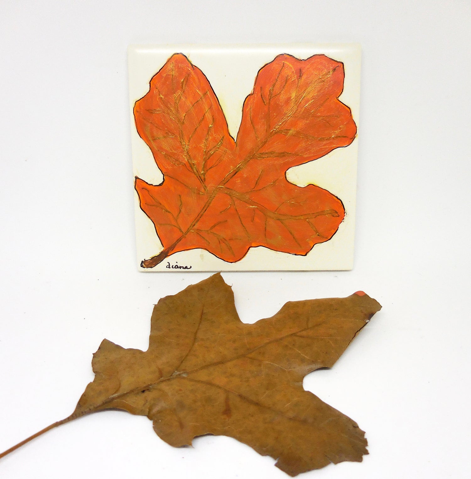 orange maple leaf coaster