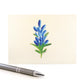 Bluebonnets