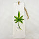 Cannabis