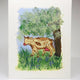Cow