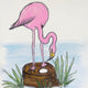 Flamingo on her Nest