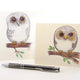 Owl/Owlet