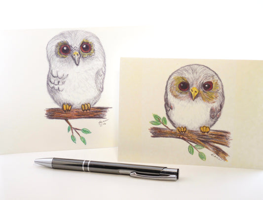 Owl and Owlet Notecards