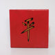 Chinese symbol for Peace