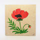 Red Poppy
