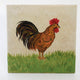 Red Rooster