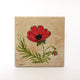 Red Poppy