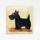 Schnauzer