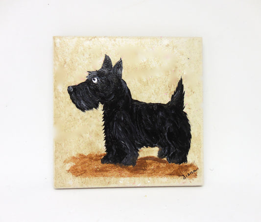 Coasters Mix-N-Match Set: Pets