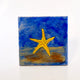 Starfish